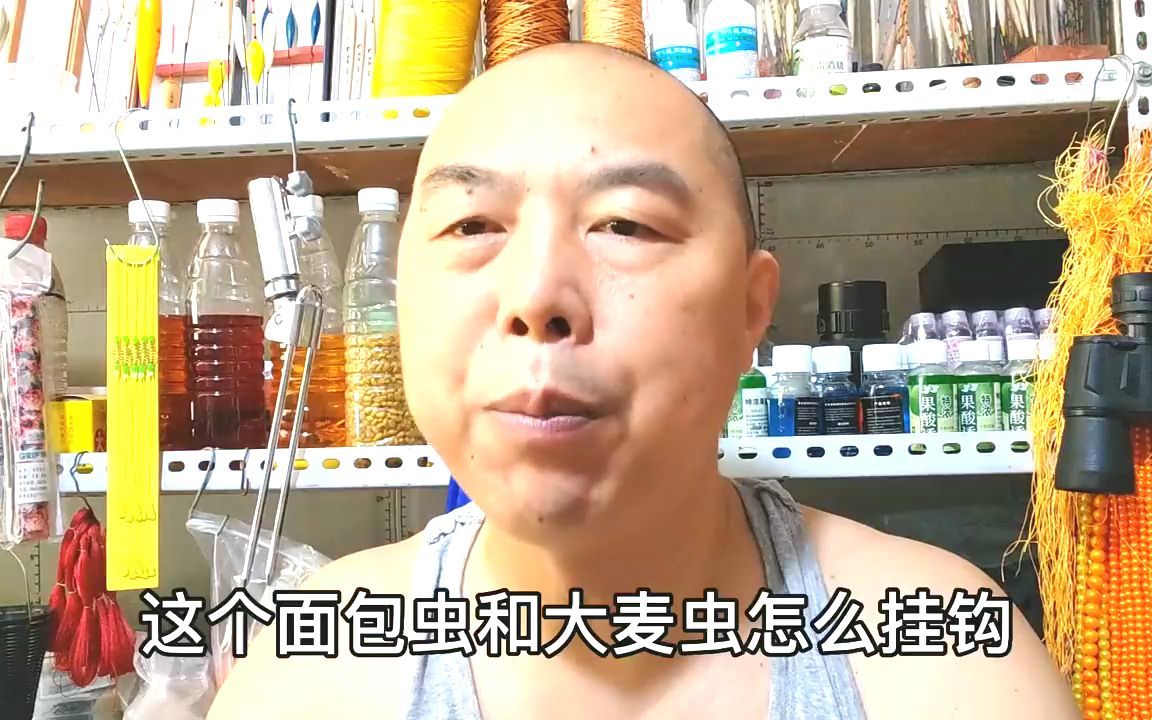面包虫正确挂钩方法,主钓王八,乌龟,鲤鱼,草鱼,黄拉丁土鲢鱼