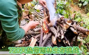 Download Video: 第一集 | 独自一人挑战热带雨林生存720天，搭建临时庇护所并狩猎野生山鼠。