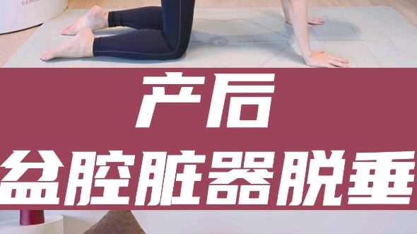 阴道壁膨出、子宫脱垂的妈妈看这里!哔哩哔哩bilibili