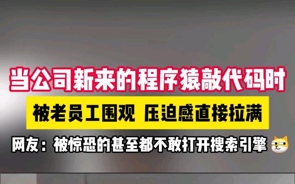 公司新来的程序员敲代码时被一帮大佬围观,压迫感直接拉满哔哩哔哩bilibili