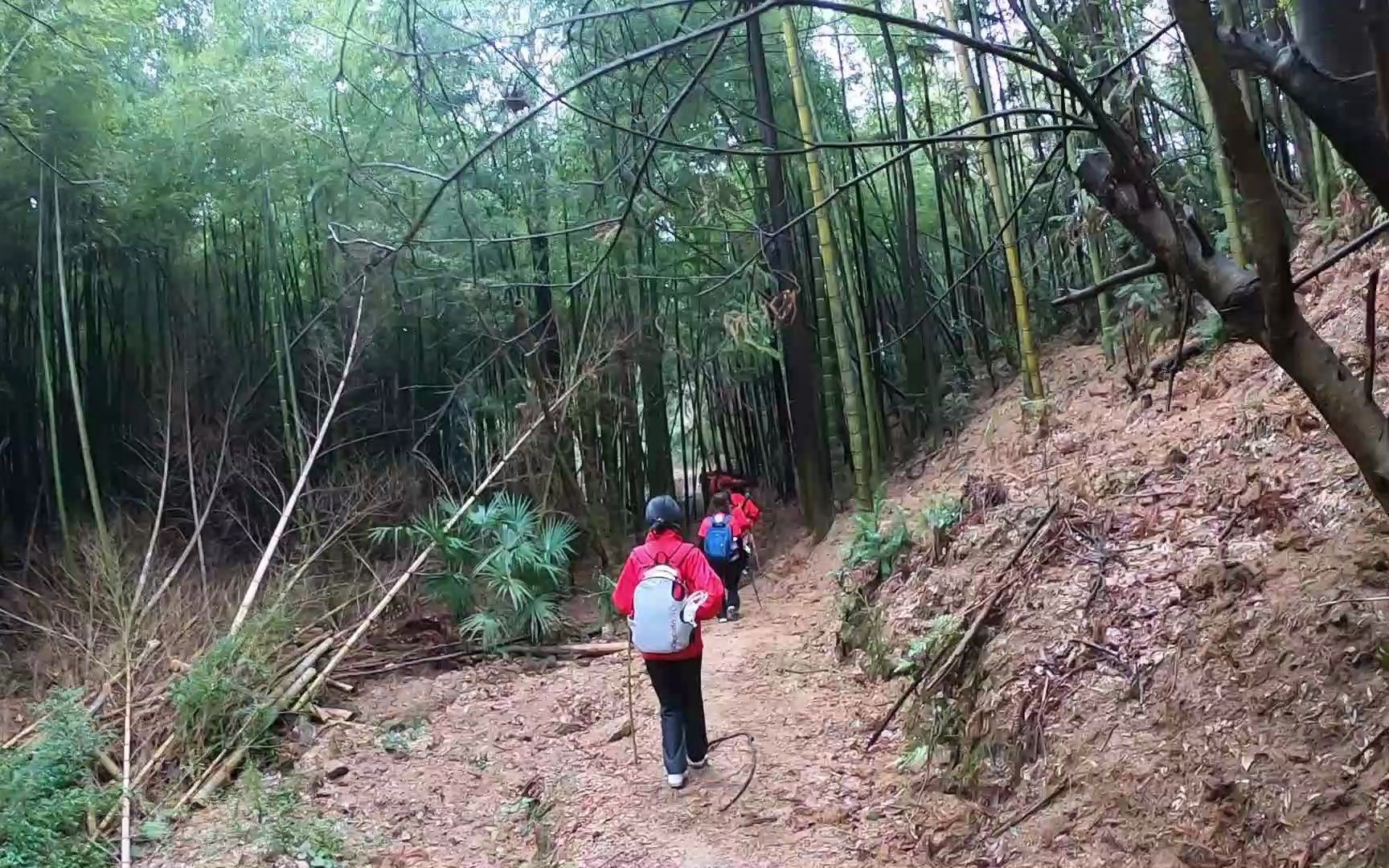 上海户外运动 周末旅游锻炼 大山村古道14 上海快乐徒步爬山户外哔哩哔哩bilibili