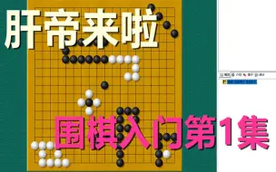 Download Video: 【肝帝围棋入门】金角银边草肚皮，从围棋的棋盘开始说起