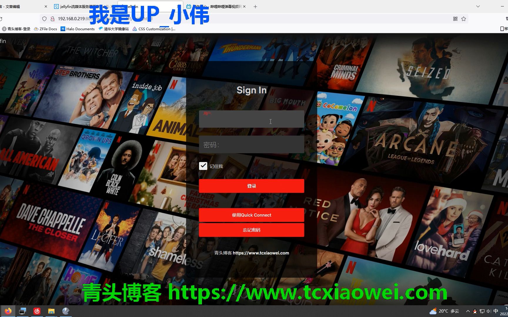 jellyfin流媒体服务器体验Netflix主题