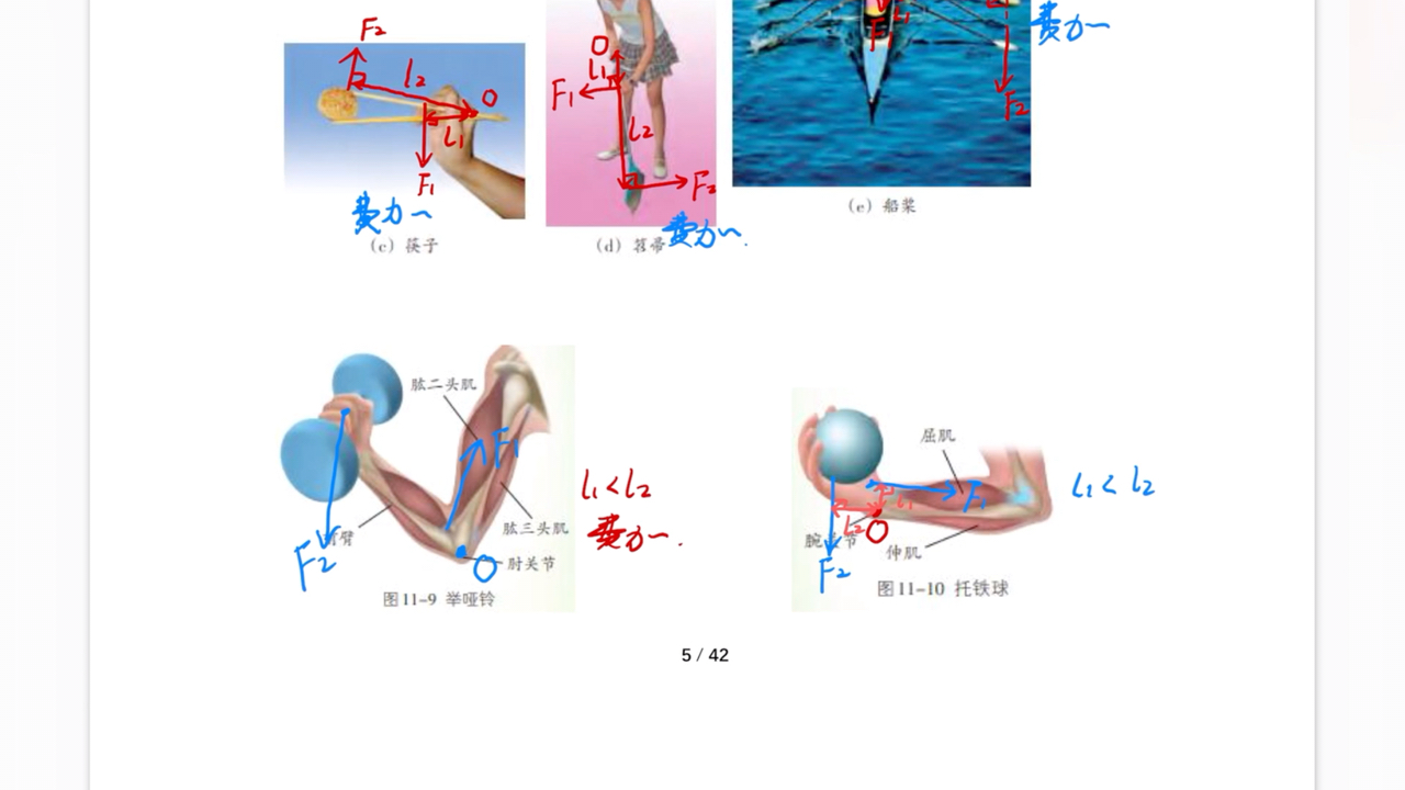 光杠杆结构图片