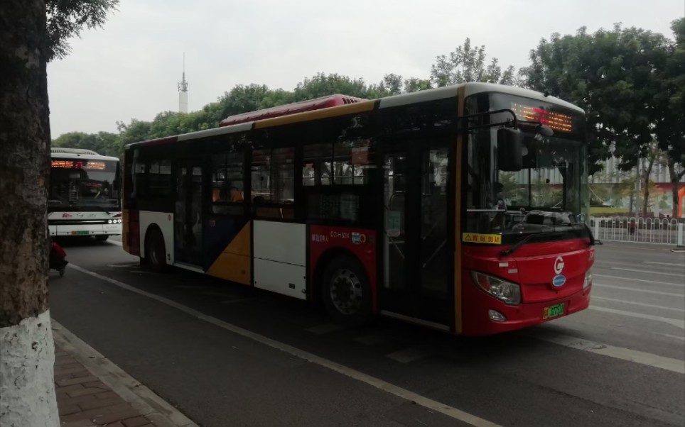 229)广州公交556路宇通插电zk6120chevnpg4运行实录(拍摄区间:六二三