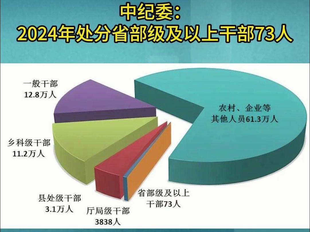 中纪委:2024年处分省部级及以上干部73人哔哩哔哩bilibili