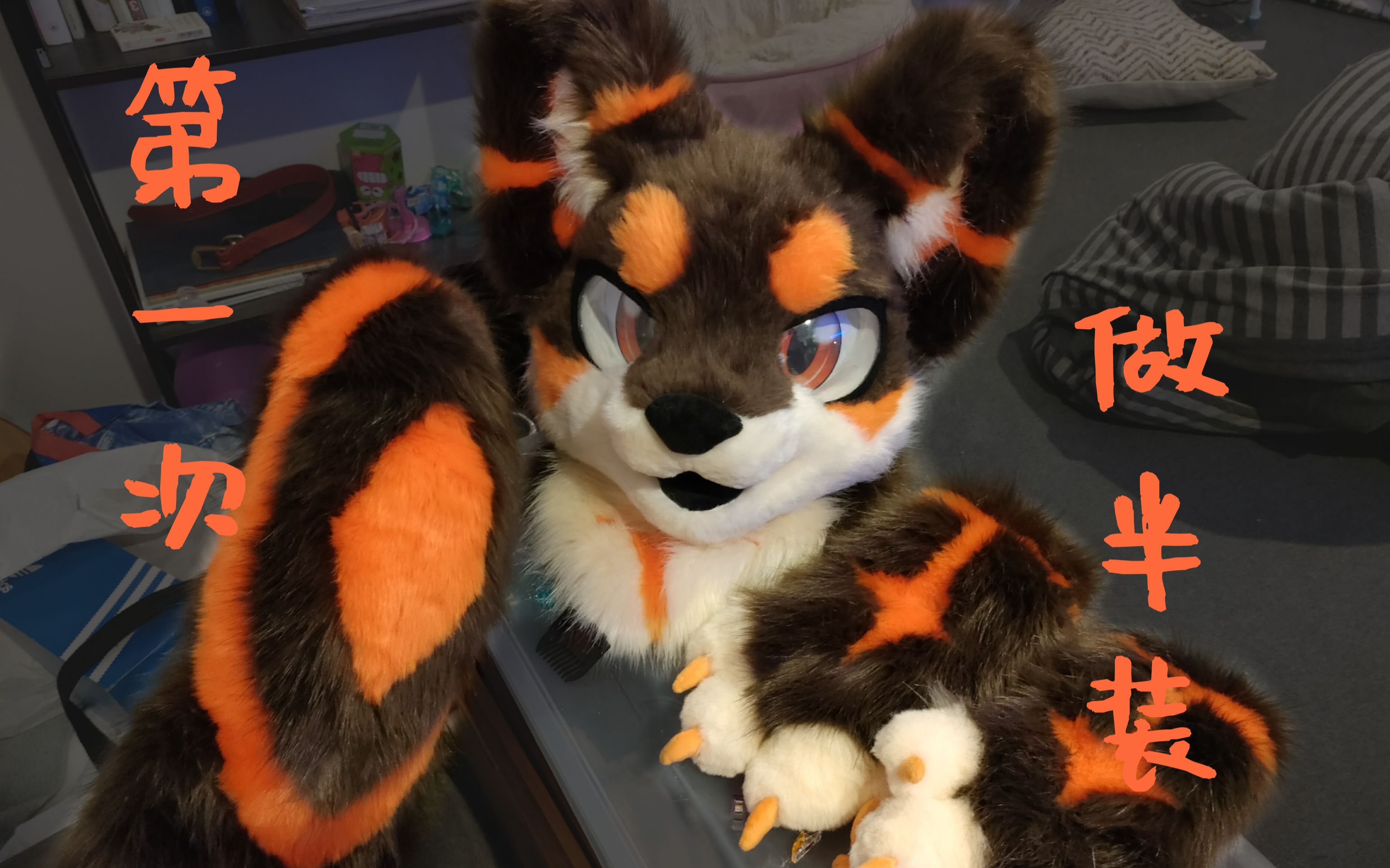 我终于也有第一套兽兽半装啦!