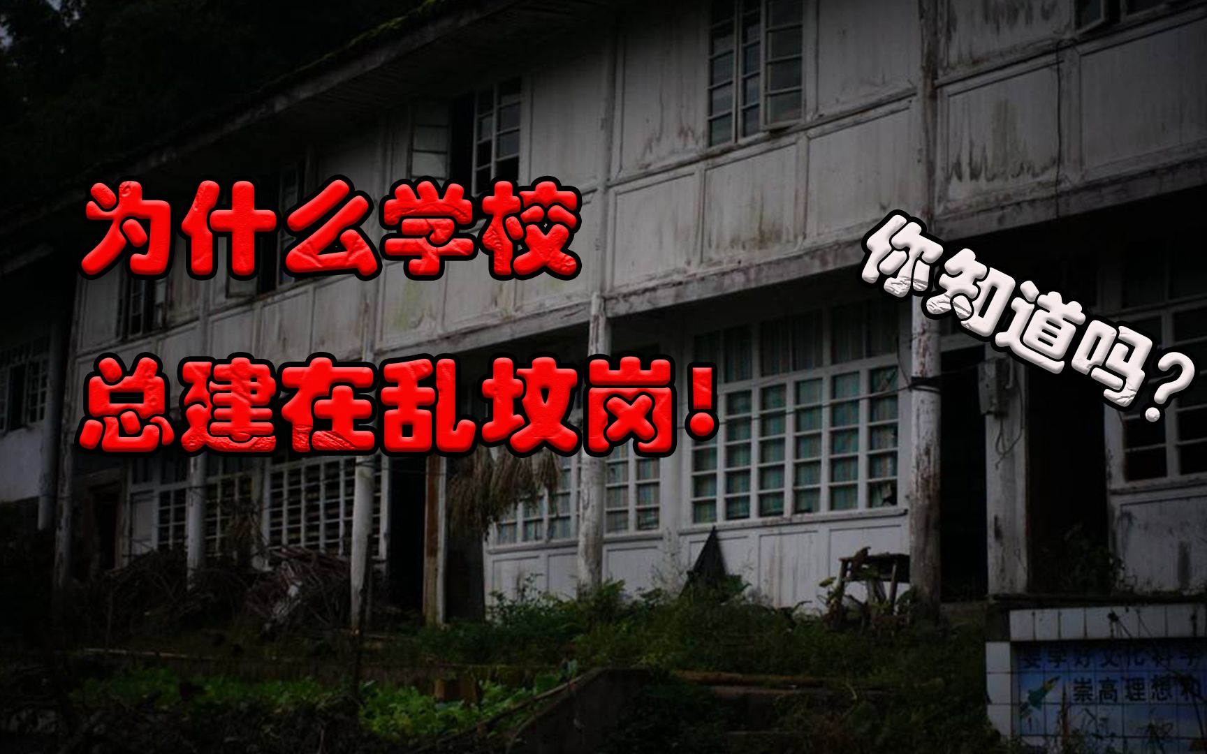 为什么学校都爱建在乱坟岗上呢!你知道其中的真相吗?原来如此哔哩哔哩bilibili