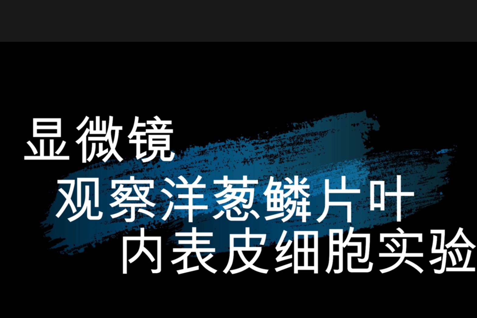 用显微镜观察洋葱鳞片叶内表皮玻片2.