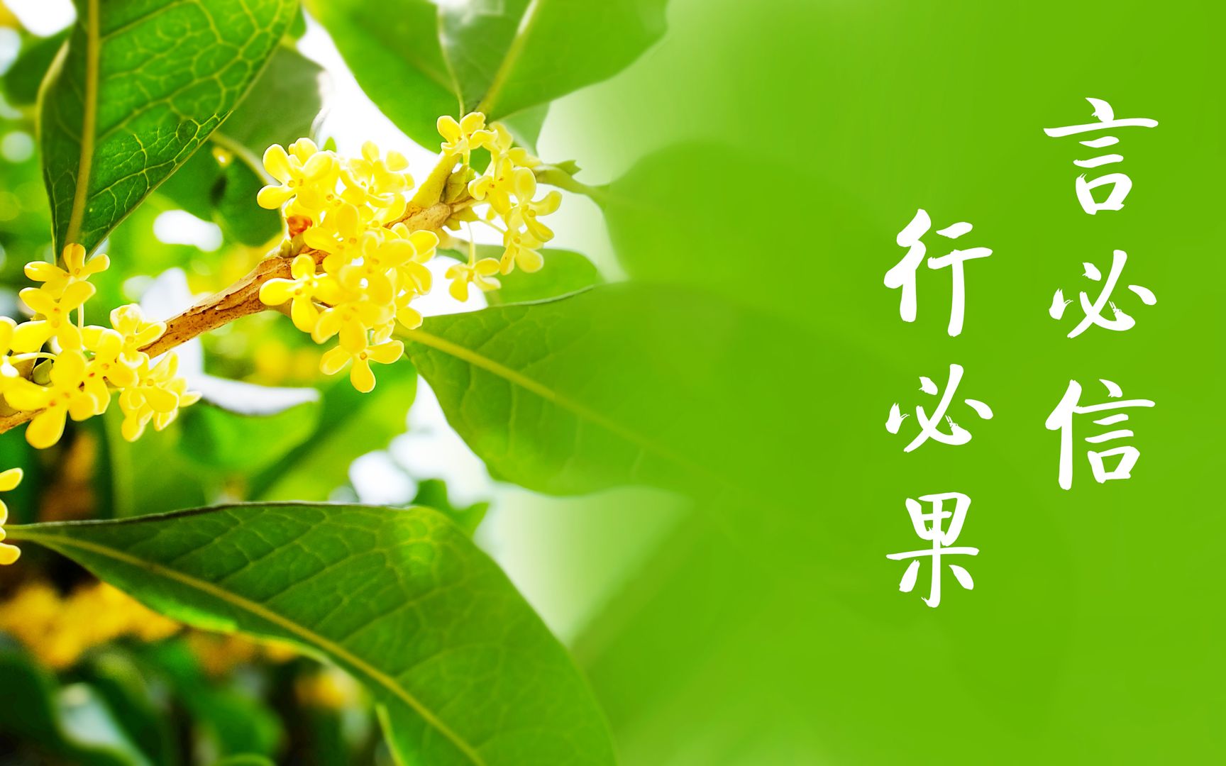 言而有信 直下承担