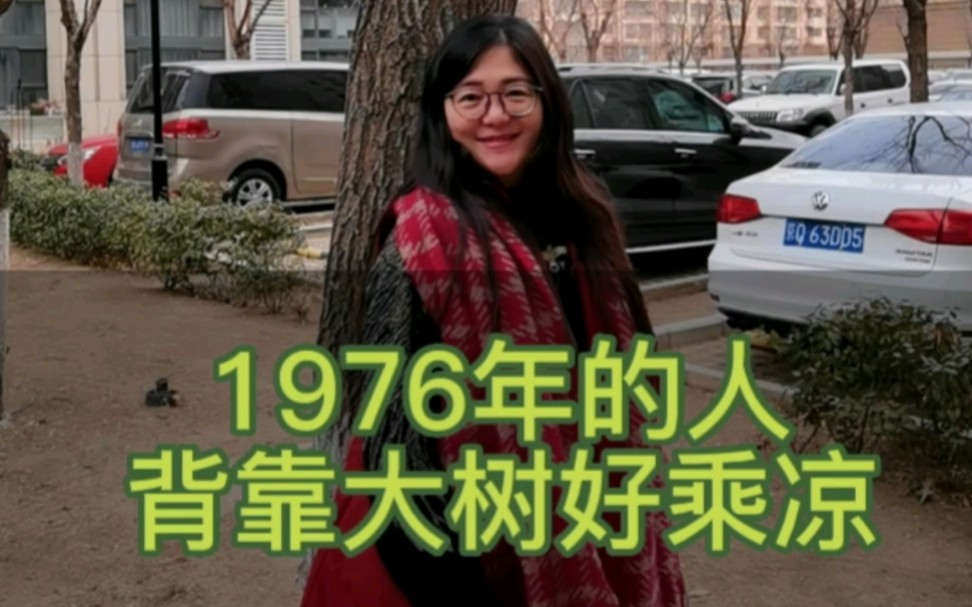 你们要的1976年来了,背靠大树好乘凉哔哩哔哩bilibili