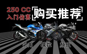 Download Video: 高颜值 高操控且耐用的250CC入门仿赛车型购买推荐