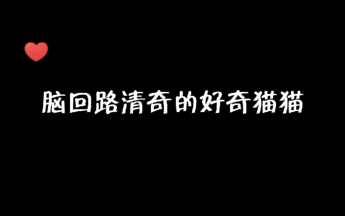 【万有引力】哔哩哔哩bilibili