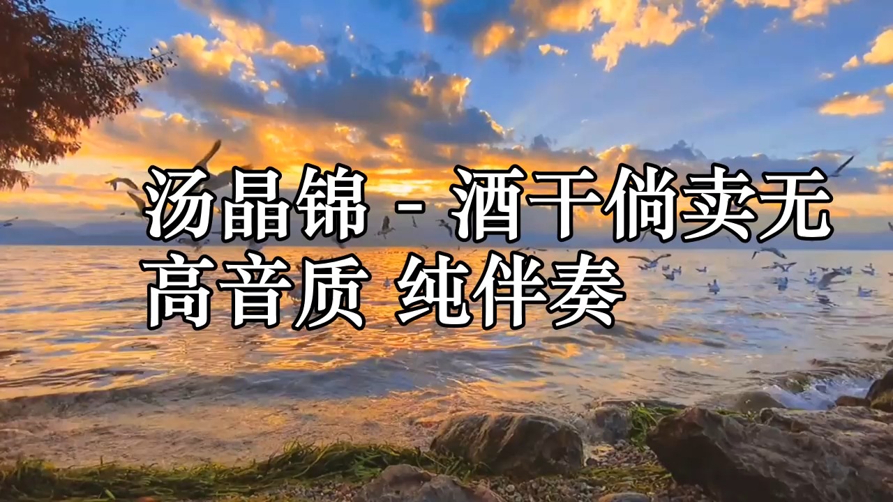 汤晶锦  酒干倘卖无 高音质 纯伴奏哔哩哔哩bilibili