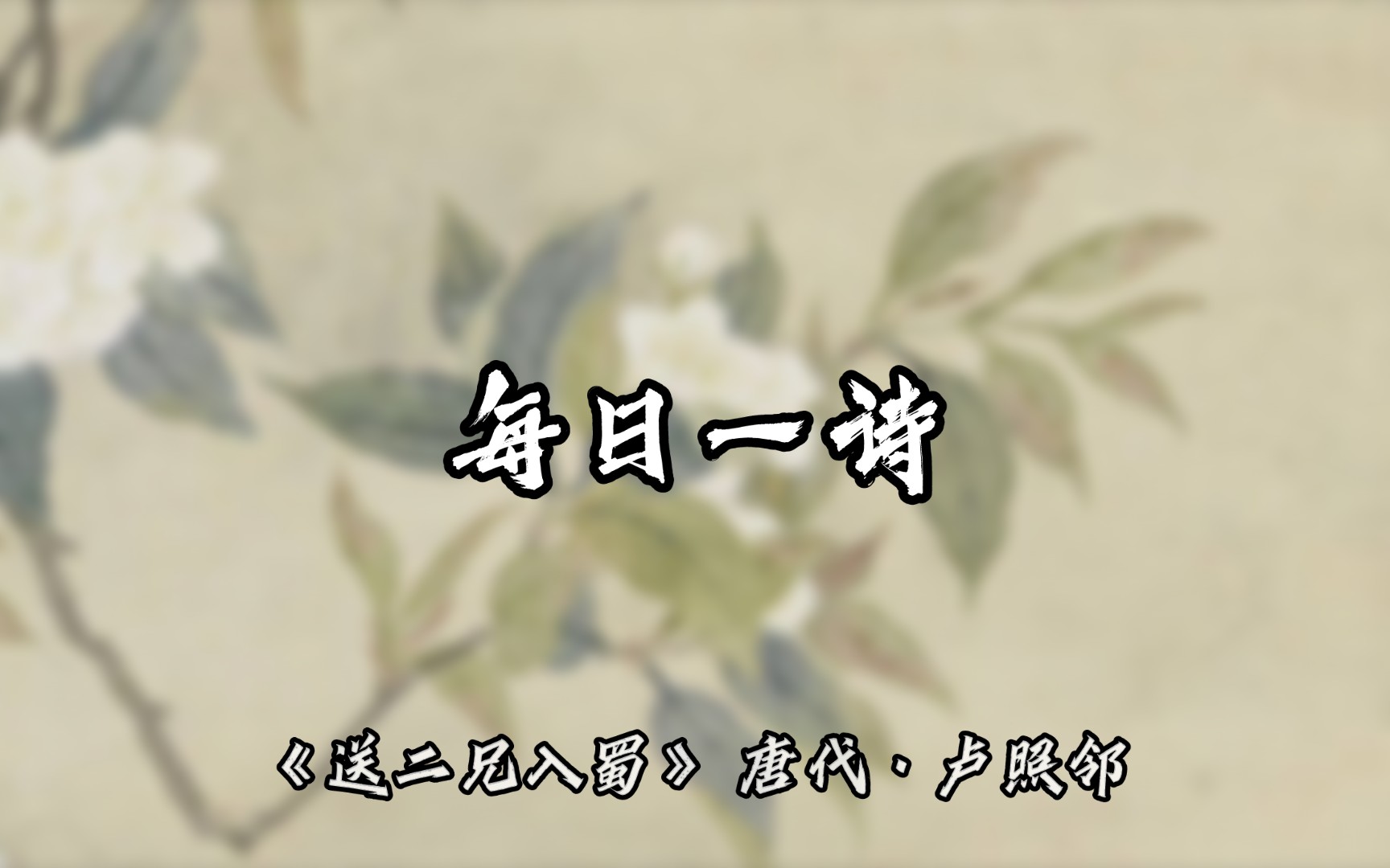 每日一诗 《送二兄入蜀》 唐代·卢照邻