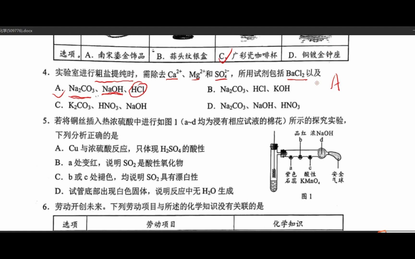 新高考全国1卷讲解,考生必看哔哩哔哩bilibili