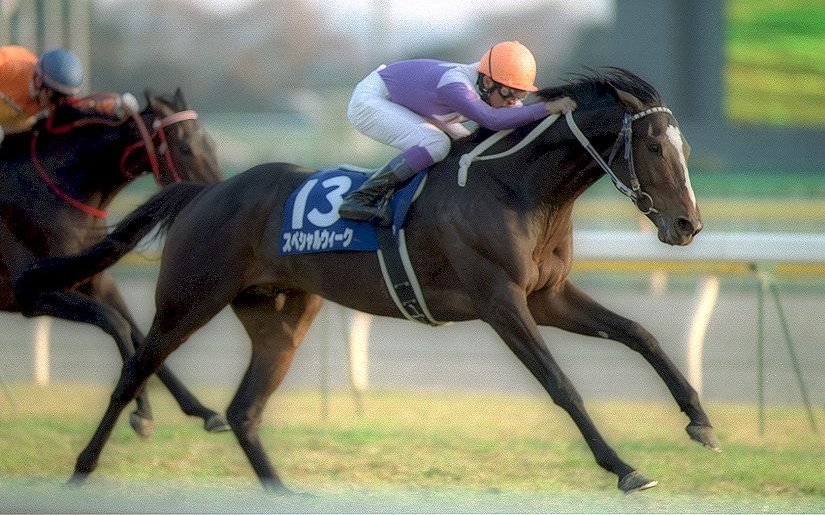 28 日本杯 (gi) 【特别周】_哔哩哔哩_bilibili