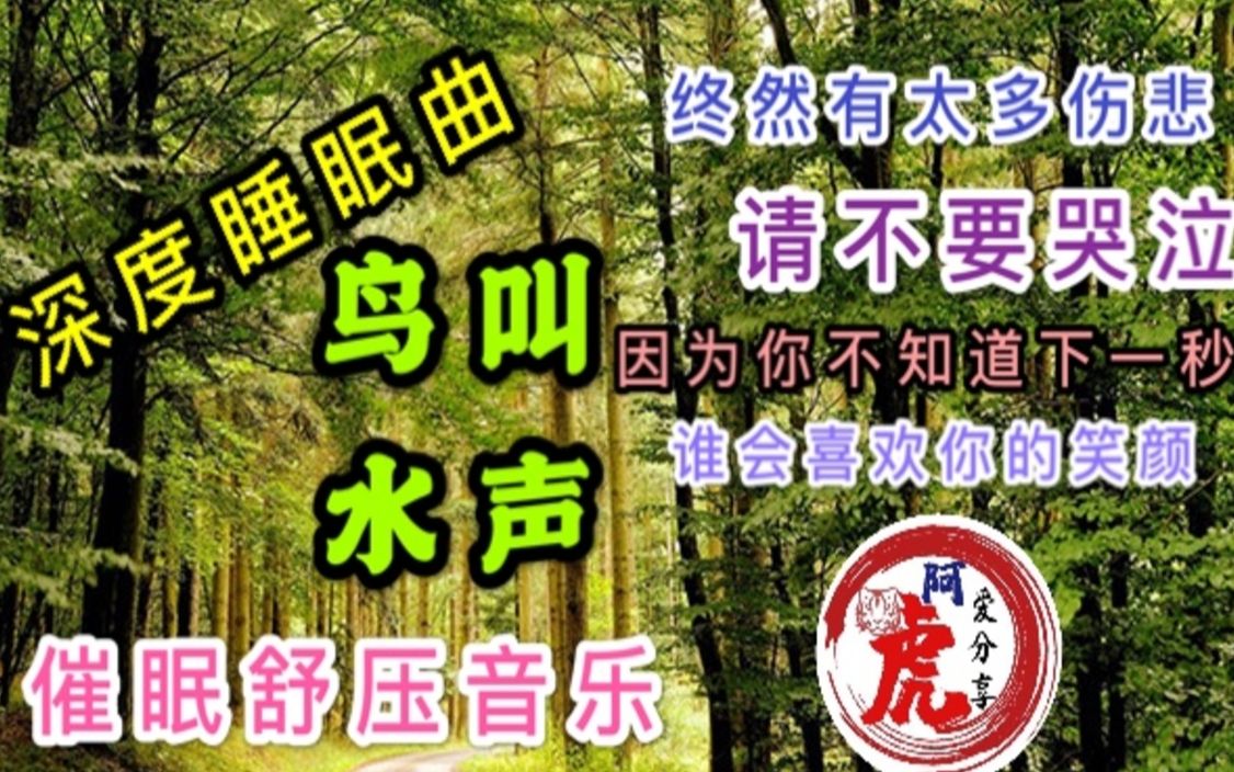 鸟叫水声大自然舒压睡眠曲宝宝入睡音乐催眠曲子轻音乐歌曲治疗抑郁症