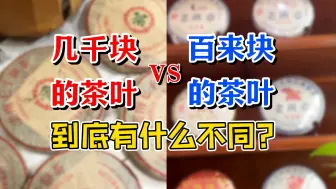 Download Video: 几千块的茶叶和百来块的茶叶，到底有什么不同？