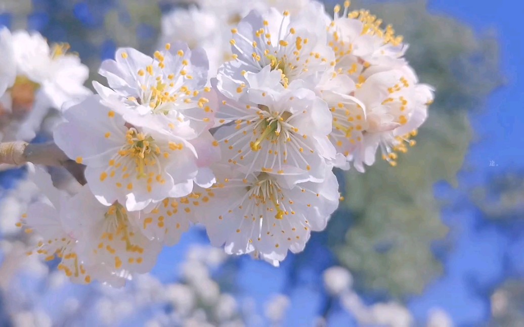 [图]“等风起，等花开，等我们在相遇”