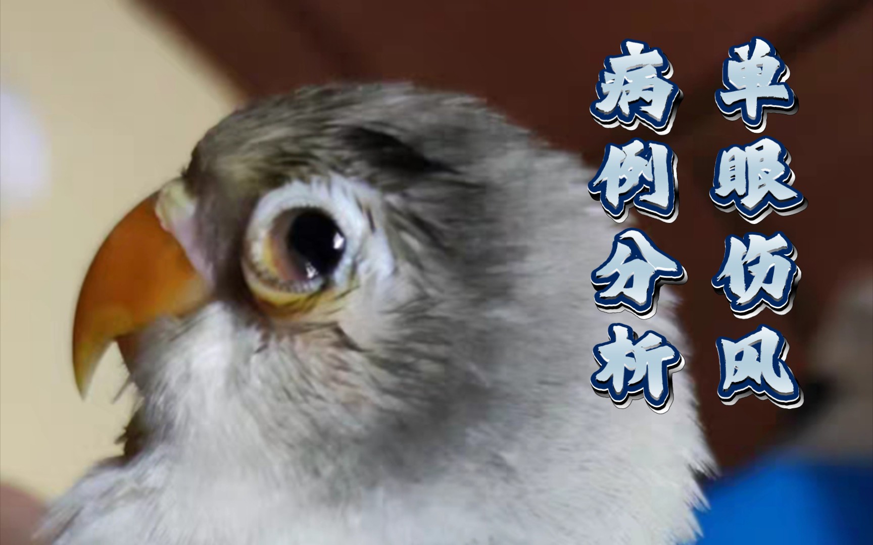 【病例分析】第二十一集·单眼伤风