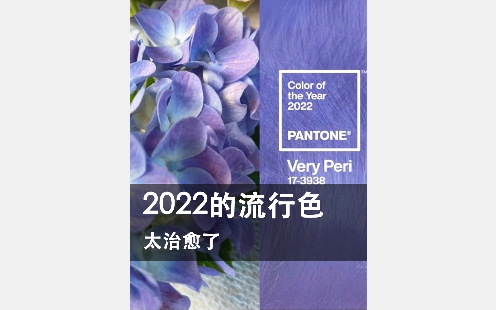 2022的Pantone流行色,奶紫色very peri好看又治愈哔哩哔哩bilibili