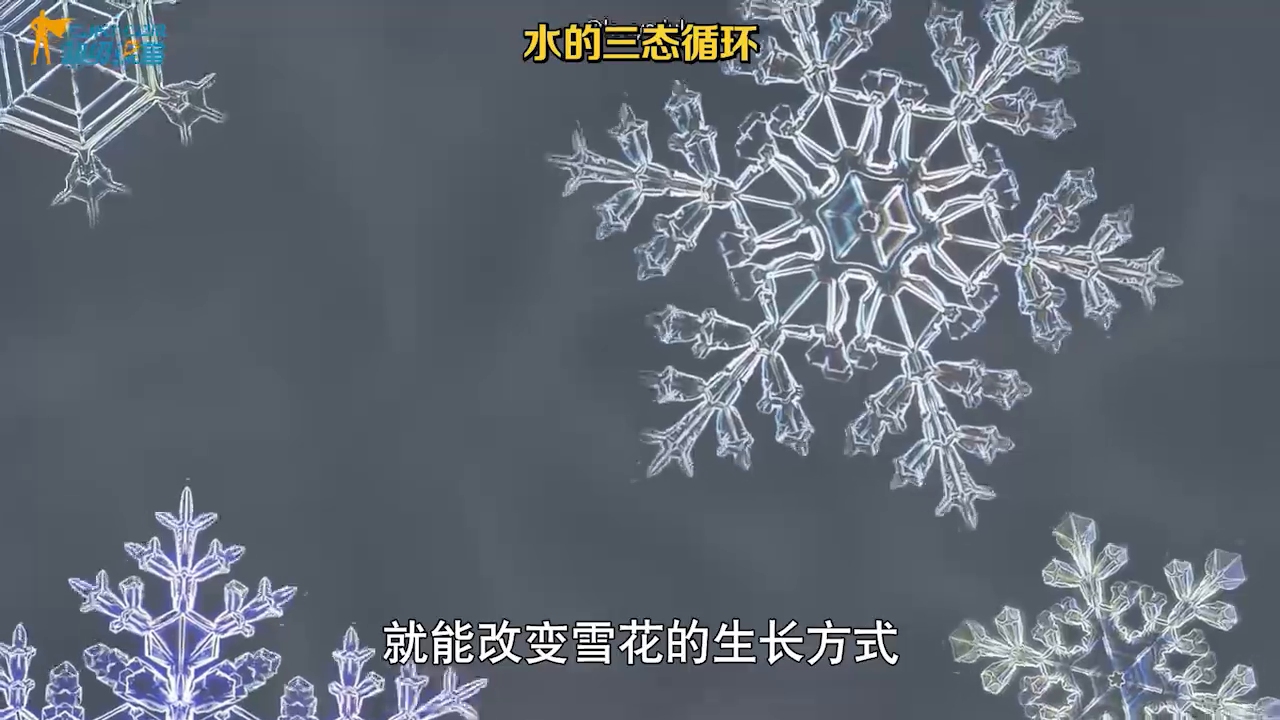 十万个为什么之为什么会下雪呢?哔哩哔哩bilibili