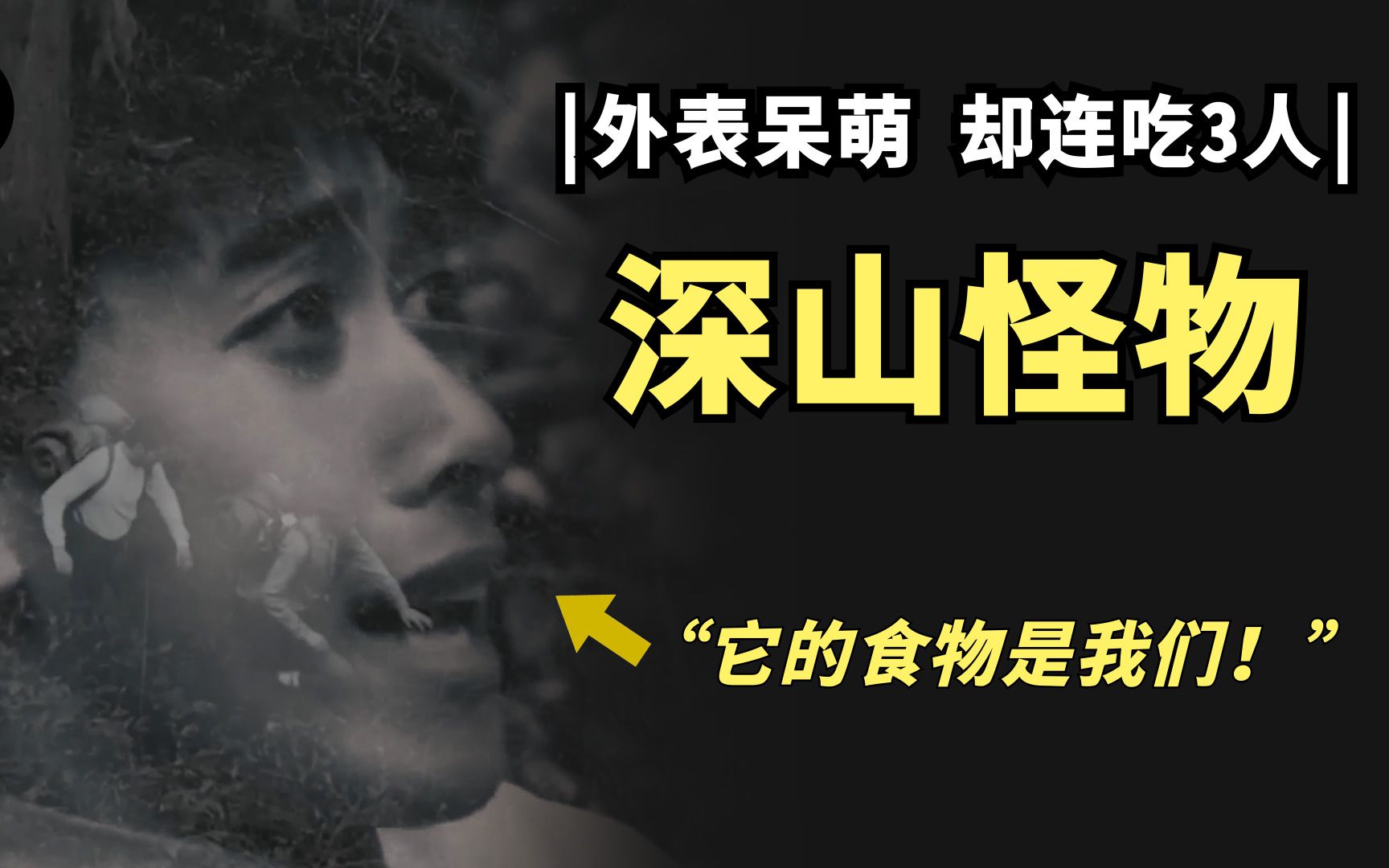 1970年,福冈大学五名学生在日高山脉地区,遭到一种恐怖野兽的袭击,三人被活活玩弄致死;这五名学生在荒野深山中到底经历了什么?日本史上最严重...