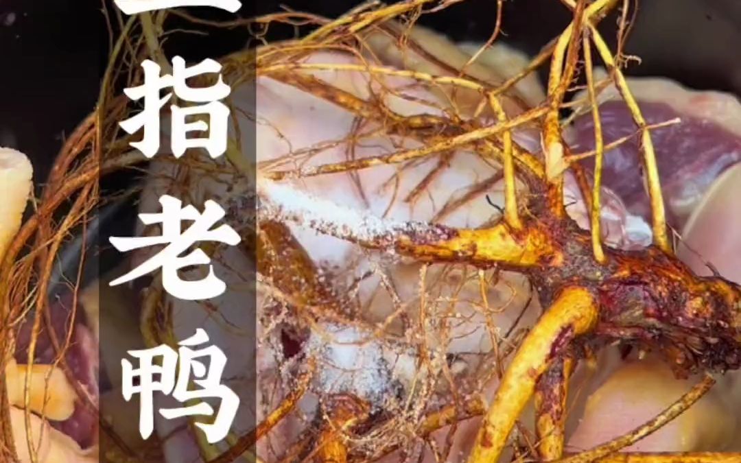 山上碰到了五指毛桃,给妹妹炖个老鸭汤,绝了,看把她馋得猴急猴急的