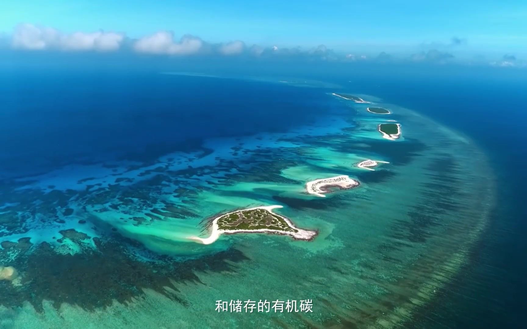 [图]海洋生物多样性，海洋蕴生万物，宽广辽阔；海洋包容沉浮，澎湃深沉，让我们一起关心海洋，认识海洋