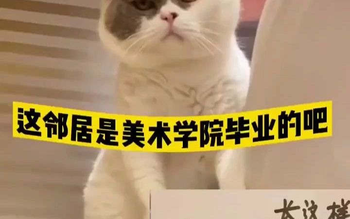 邻居为走失猫咪画“寻猫启事”,网友:灵魂画手抓住了精髓!哔哩哔哩bilibili