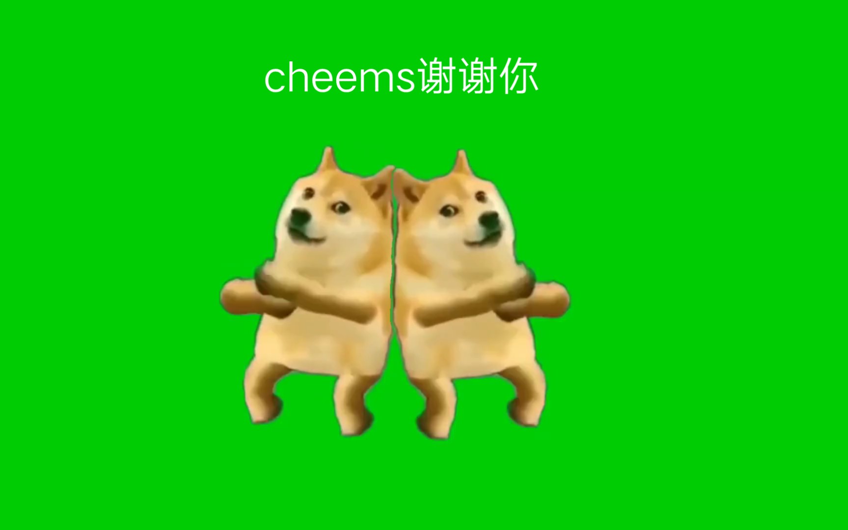 98 cheems的日常小趣事98