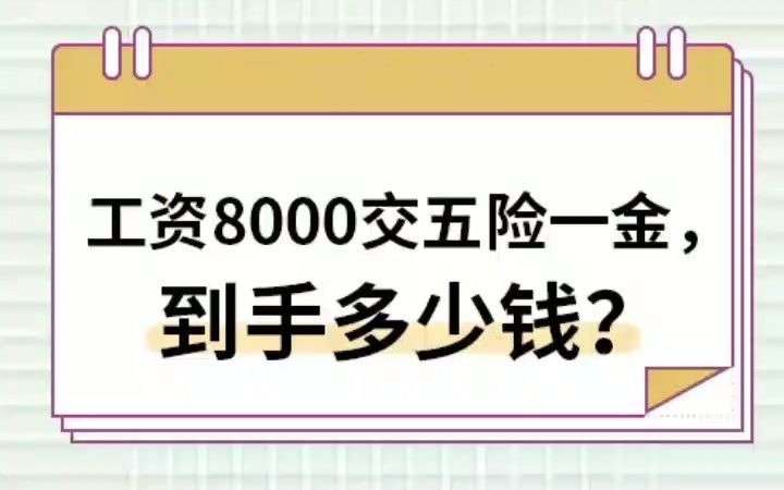 工资8000交五险一金,到手多少钱哔哩哔哩bilibili