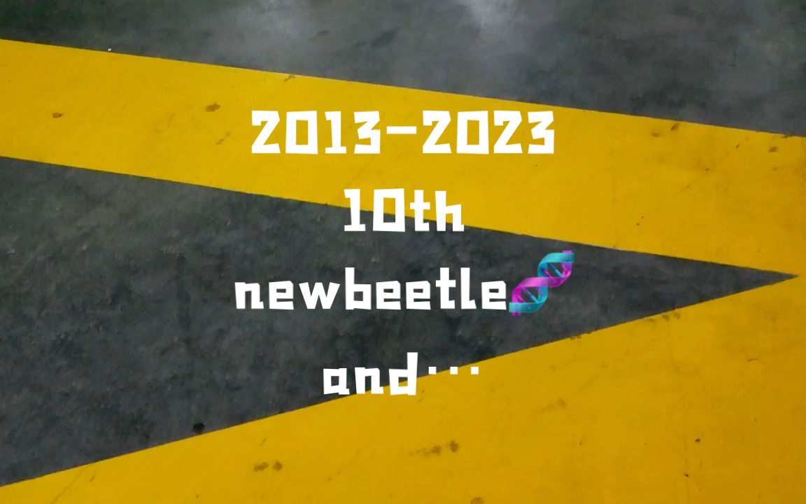 2013-2023 10th new beetle