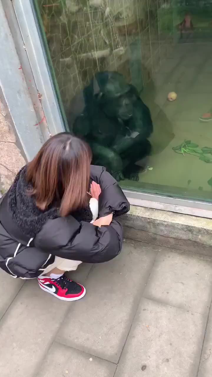 大型返祖现场_哔哩哔哩 (゜-゜)つロ 干杯~-bilibili