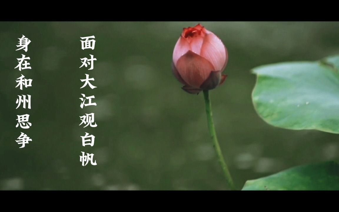 陋室铭写作背景哔哩哔哩bilibili