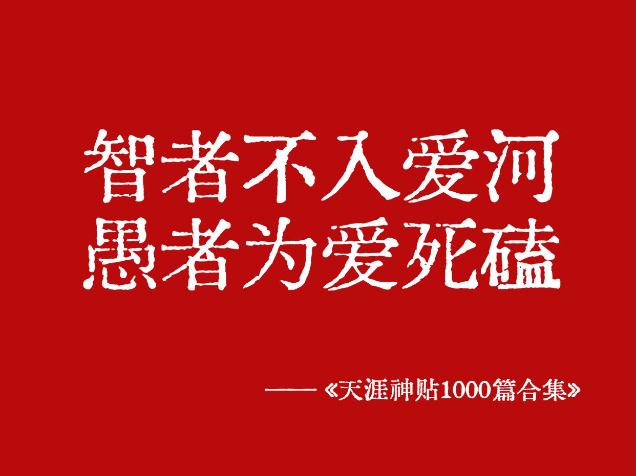 智者不入爱河,愚者为爱死磕哔哩哔哩bilibili