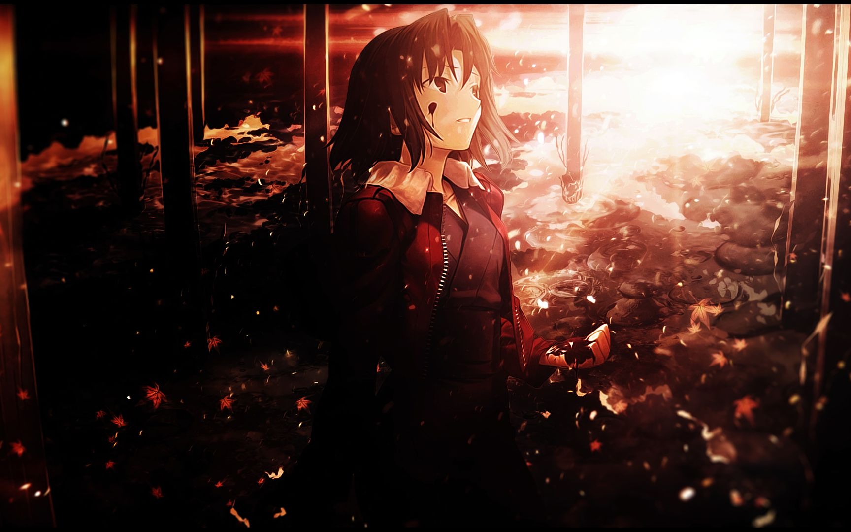 《空之境界:杀人考察》剪辑