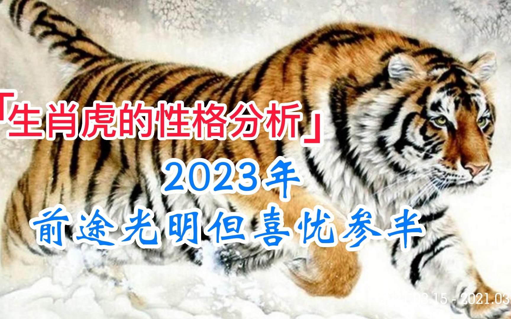 生肖虎的性格分析,2023前途光明但喜忧参半哔哩哔哩bilibili