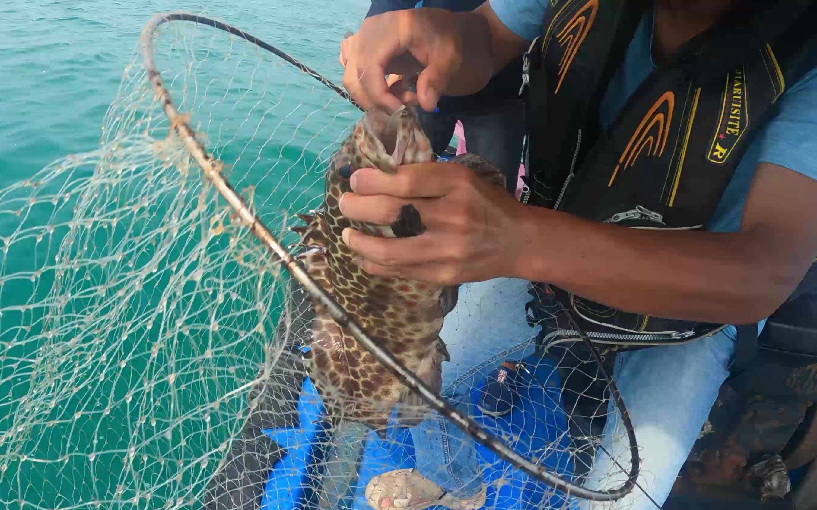 活动作品深海船钓石斑手把线中大鱼和挂底一样