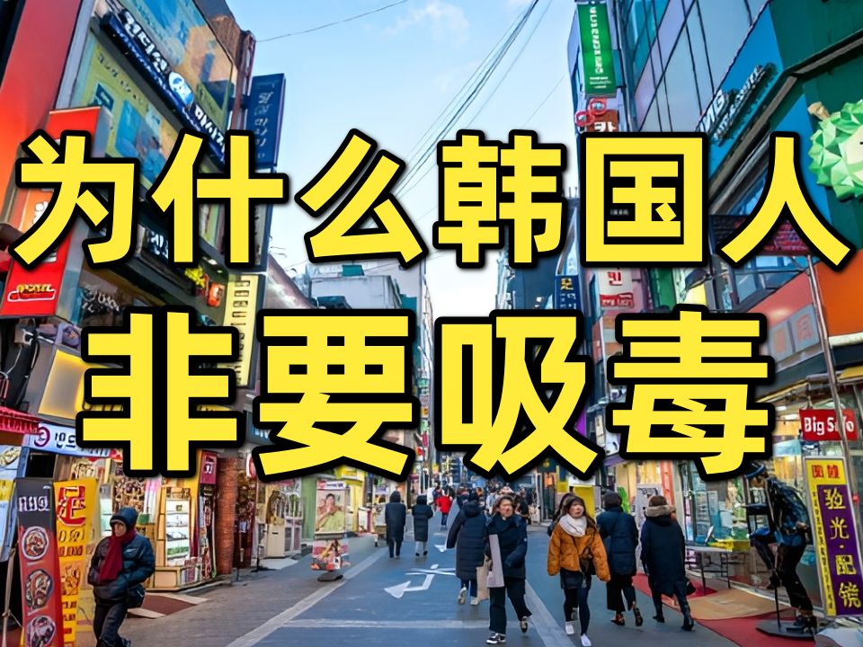 韩国母亲河已成毒河,百万毒虫,调查、处罚、改造矫正全线崩溃,“禁毒先锋”彻底垮台哔哩哔哩bilibili