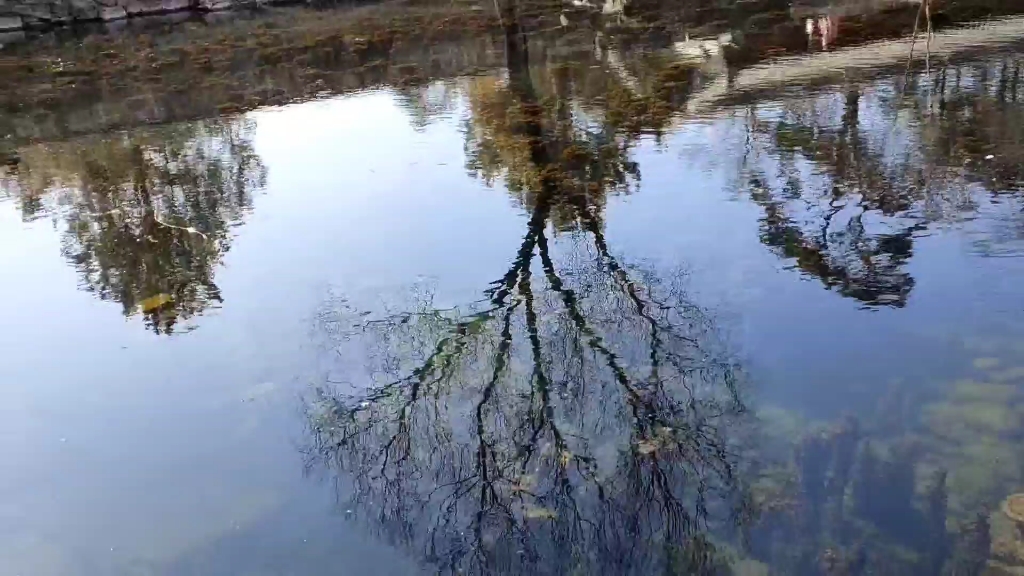 热河泉是承德避暑山庄五A景区承德在历史上曾被为被称为热河哔哩哔哩bilibili