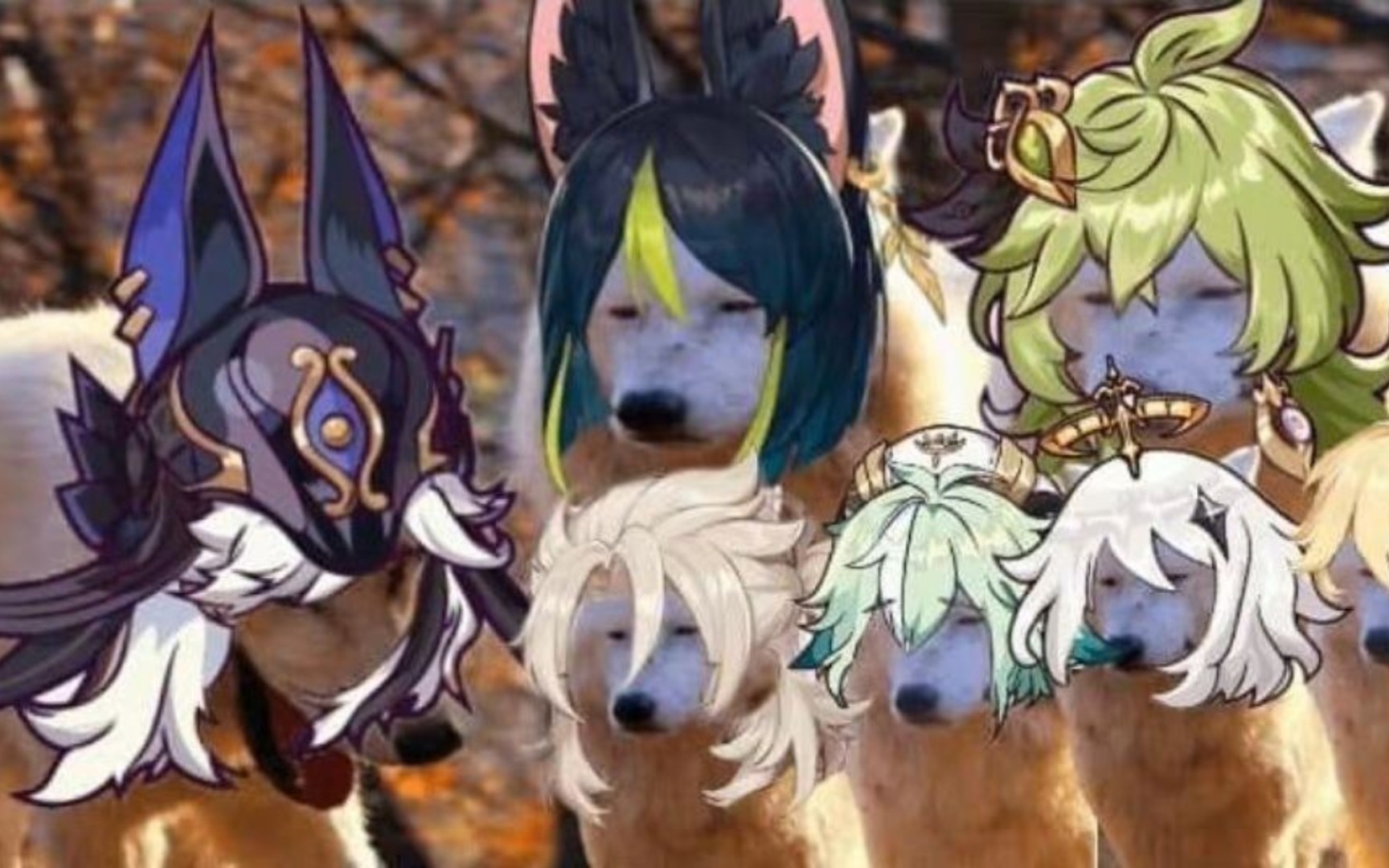 那些网络上极其沙雕的原神梗图