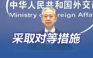 Download Video: 对韩国等采取对等措施