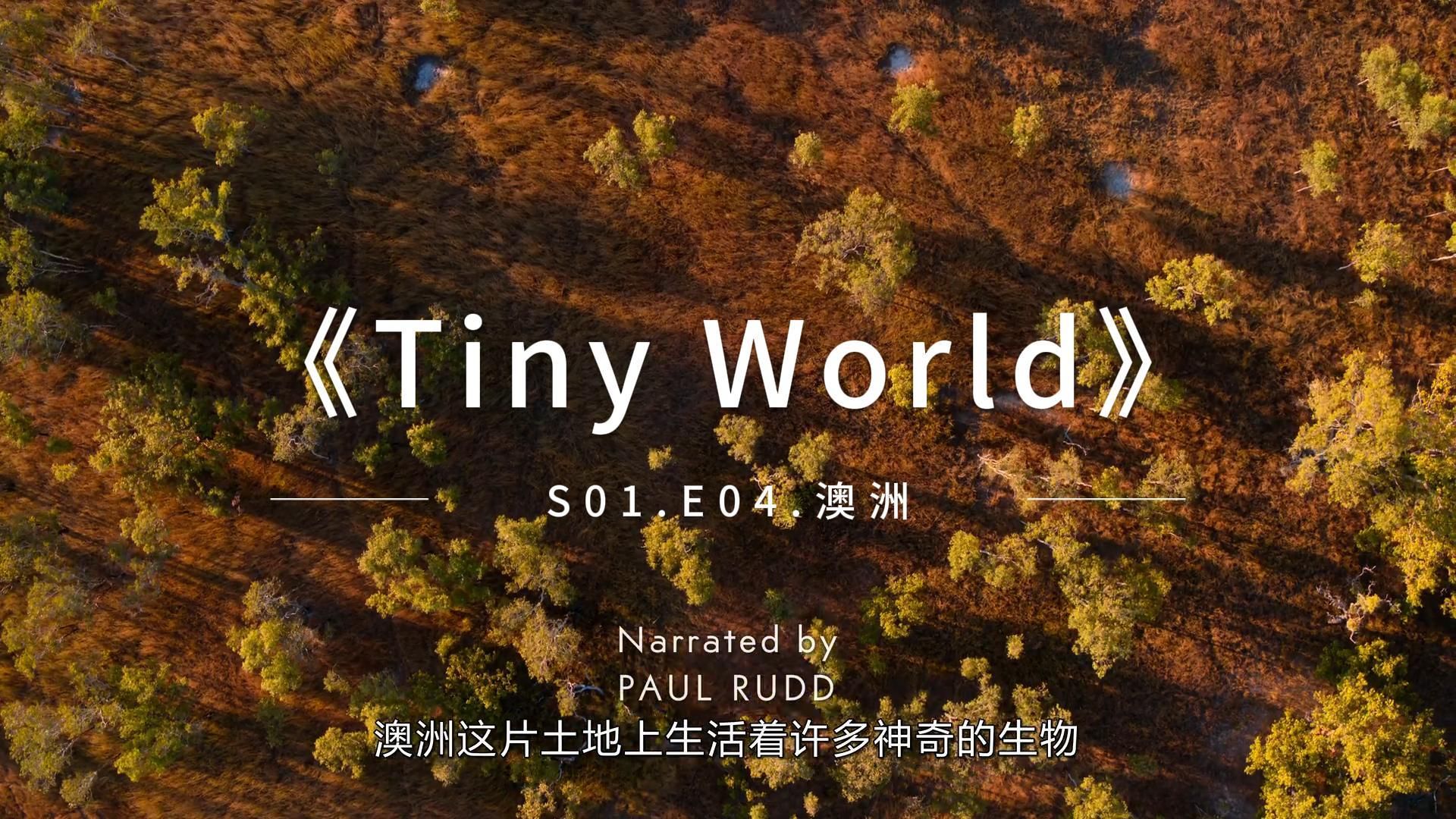 [图]《Tiny World》小小世界S01.E04~个人配音bbc高分纪录片