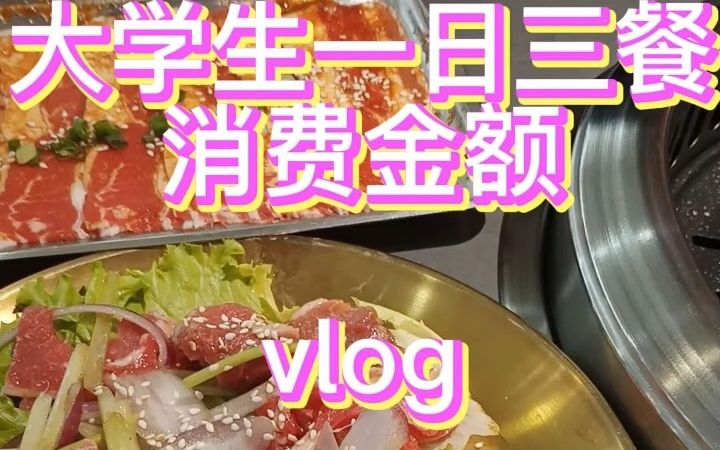 【西宁美食】大学生一日三餐吃什么+消费金额哔哩哔哩bilibili