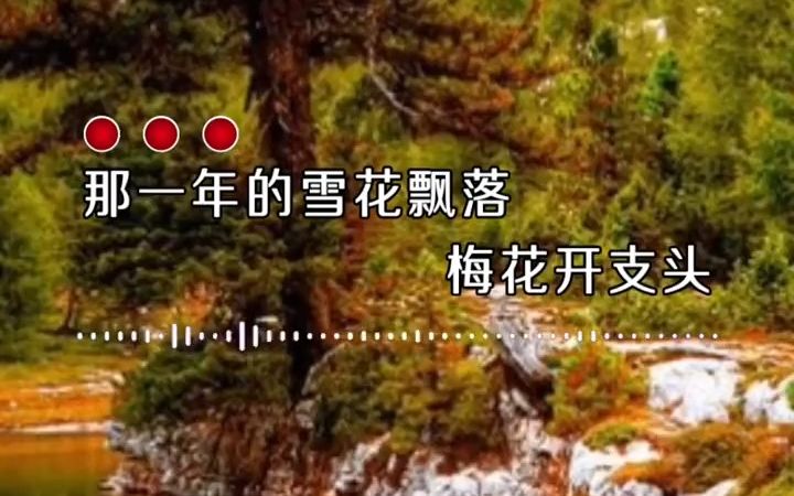 【音乐现场】新贵妃醉酒,那一年的雪花飘落 梅花落枝头哔哩哔哩bilibili