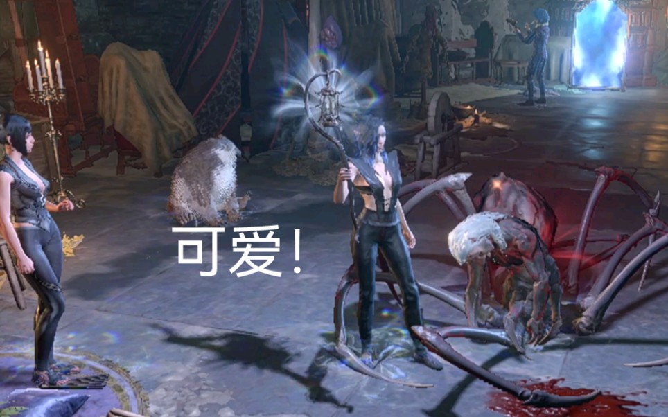 把蛛化卓尔卡尼斯拐回营地!给流浪动物一个家