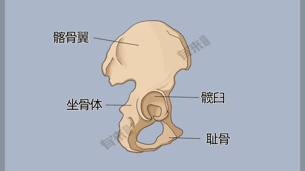 【得炒闲饭吃点】我的最新作品,快来一睹为快!
