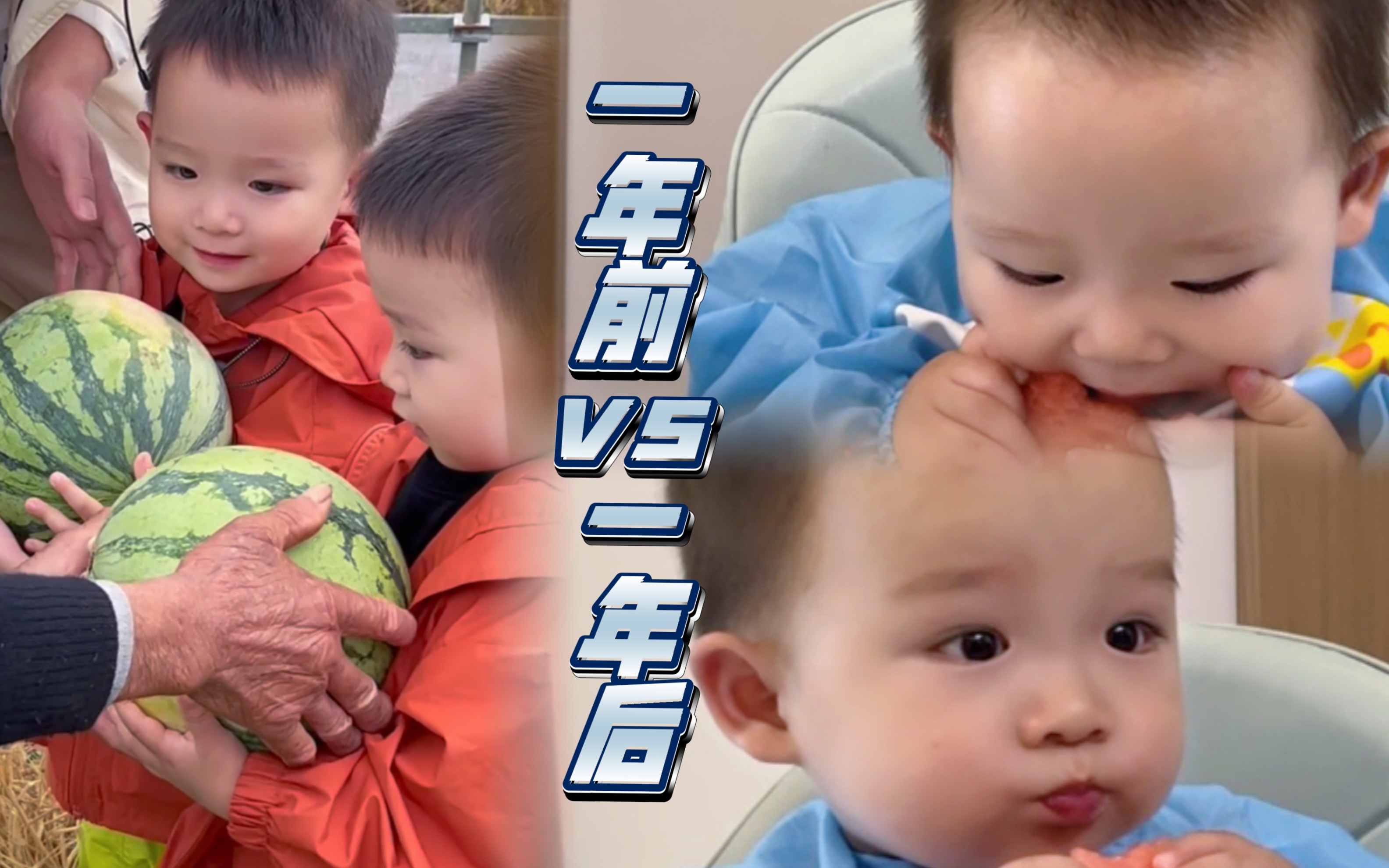 一年过去了,吃瓜群众终于变成了摘瓜群众!-胖团和胖圆-胖团和胖圆-哔哩哔哩视频